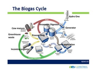 Hydro One
Anaerobic Digesters
Generator

Cow manure
Greenhouse
waste

Process Bldg

Land application
Incoming organics

 