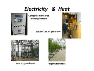 Electricity & Heat
Computer monitored
power generator

State of the art generator

Heat to greenhouse

organic tomatoes

 
