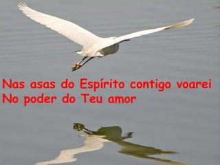 Nas asas do Espírito contigo voarei No poder do Teu amor 