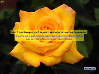 Importa sim a paz advinda daquelas pequenas vitórias diárias que só você e tão somente você conhece. Não é preciso que você seja um vencedor aos olhos do mundo. 07 