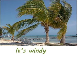 It’s windy
 