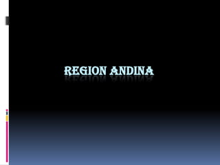 REGION ANDINA
 