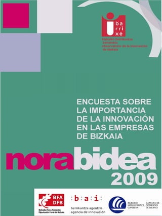 Norabidea 2009: Encuesta sobre la importancia de la innovación en las empresas de Bizkaia - Resumen ejecutivo