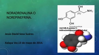 NORADRENALINA O 
NOREPINEFRINA. 
Jesús David Sosa Suárez. 
Xalapa Ver,13 de mayo de 2014. 
4-[(1R)-2-amino-1- 
hidroxietil]benceno-1,2-diol 
 