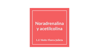 Noradrenalina
y acetilcolina
L.E Motte Flores Julieta
 