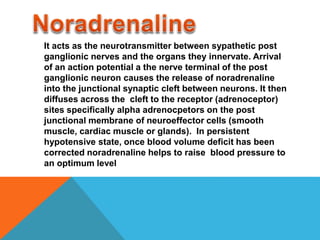 It acts as the neurotransmitter between sypathetic post
ganglionic nerves and the organs they innervate. Arrival
of an action potential a the nerve terminal of the post
ganglionic neuron causes the release of noradrenaline
into the junctional synaptic cleft between neurons. It then
diffuses across the cleft to the receptor (adrenoceptor)
sites specifically alpha adrenocpetors on the post
junctional membrane of neuroeffector cells (smooth
muscle, cardiac muscle or glands). In persistent
hypotensive state, once blood volume deficit has been
corrected noradrenaline helps to raise blood pressure to
an optimum level
 