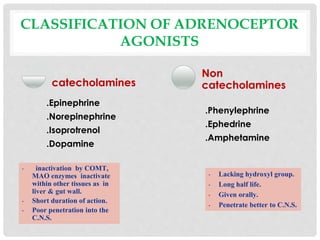 CLASSIFICATION OF ADRENOCEPTOR
AGONISTS
.Epinephrine
.Norepinephrine
.Isoprotrenol
.Dopamine
catecholamines
.Phenylephrine
.Ephedrine
.Amphetamine
Non
catecholamines
• inactivation by COMT,
MAO enzymes inactivate
within other tissues as in
liver & gut wall.
• Short duration of action.
• Poor penetration into the
C.N.S.
• Lacking hydroxyl group.
• Long half life.
• Given orally.
• Penetrate better to C.N.S.
 