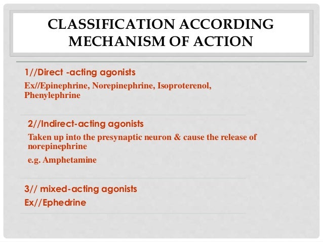 Noradrenergic transmission