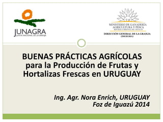 BUENAS PRÁCTICAS AGRÍCOLAS para la Producción de Frutas y Hortalizas Frescas en URUGUAY 
Ing. Agr. Nora Enrich, URUGUAY 
Foz de Iguazú 2014  