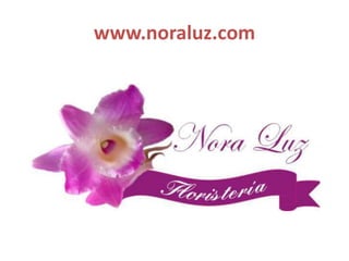 www.noraluz.com
 