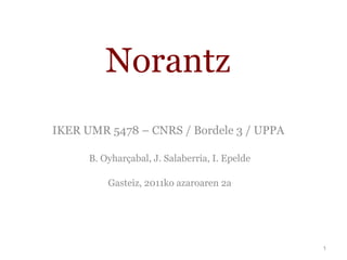 Norantz IKER UMR 5478 – CNRS /  Bordele  3 / UPPA  B. Oyharçabal, J. Salaberria, I. Epelde Gasteiz , 2011ko azaroaren  2 a 