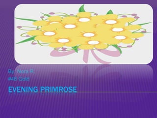 Evening Primrose	 By: Nora R. #48 Gold 