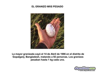 La mayor granizada cayó el 14 de Abril de 1986 en el distrito de Gopalganj, Bangladesh, matando a 92 personas. Los granizos pesaban hasta 1 kg cada uno.  EL GRANIZO MÁS PESADO 