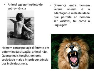 • Diferença entre homem
versus animal é a
adaptação e maleabilidade
que permite ao homem
ser variável, tal como a
linguagem
• Animal age por instinto de
sobrevivência
Homem consegue agir diferente em
determinada situação, animal não.
Quanto mais funções em uma
sociedade mais a interdependência
dos indivíduos nela.
 