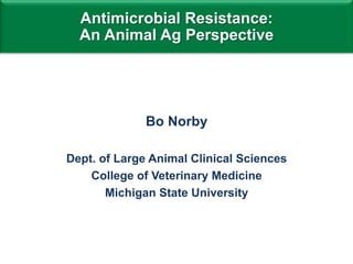 Bo Norby
Dept. of Large Animal Clinical Sciences
College of Veterinary Medicine
Michigan State University
Antimicrobial Resistance:
An Animal Ag Perspective
 