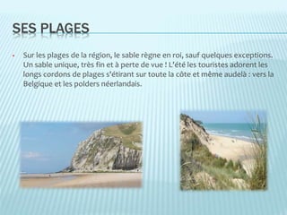 SES PLAGES
• Sur les plages de la région, le sable règne en roi, sauf quelques exceptions.
Un sable unique, très fin et à perte de vue ! L'été les touristes adorent les
longs cordons de plages s'étirant sur toute la côte et même audelà : vers la
Belgique et les polders néerlandais.
 