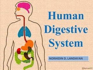 Human
Digestive
System
NORHIDIN D. LANDAYAN
 