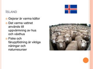 ISLAND
Gejsrar är varma källor
 Det varma vattnet
används till
uppvärmning av hus
och växthus
 Fiske och
fåruppfödning är viktiga
näringar och
naturresurser


 