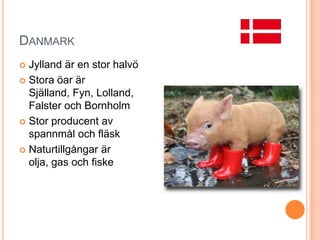 DANMARK
Jylland är en stor halvö
 Stora öar är
Själland, Fyn, Lolland,
Falster och Bornholm
 Stor producent av
spannmål och fläsk
 Naturtillgångar är
olja, gas och fiske


 