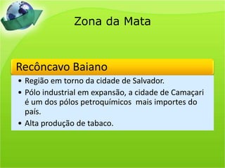 Zona da Mata