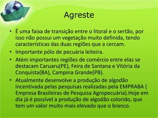 AgresteÉ uma faixa de transição entre o litoral e o sertão, por isso não possui um vegetação muito definida, tendo características das duas regiões que a cercam.Importante pólo de pecuária leiteira.Atém importantes regiões de comércio entre elas se destacam Caruaru(PE), Feira de Santana e Vitória da Conquista(BA), Campina Grande(PB). Atualmente desenvolve a produção de algodão incentivada pelas pesquisas realizadas pela EMPRABA ( Empresa Brasileiras de Pesquisa Agropecuária).Hoje em dia já é possível a produção de algodão colorido, que tem um valor muito mais elevado que o branco.