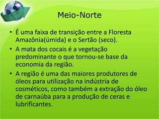 Meio-NorteÉ uma faixa de transição entre a Floresta Amazônia(úmida) e o Sertão (seco).A mata dos cocais é a vegetação predominante o que tornou-se base da economia da região.A região é uma das maiores produtores de óleos para utilização na indústria de cosméticos, como também a extração do óleo de carnaúba para a produção de ceras e lubrificantes.