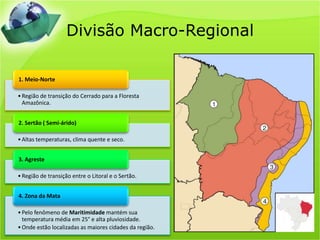 Divisão Macro-Regional