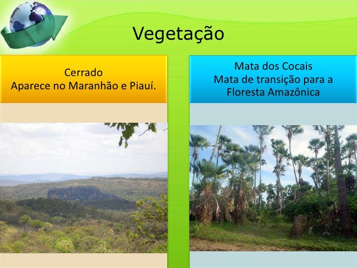 Porque A Vegetação Do Nordeste é Muito Variada