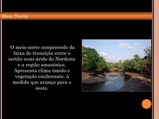 O meio-norte compreende da
faixa de transição entre o
sertão semi-árido do Nordeste
e a região amazônica.
Apresenta clima úmido e
vegetação exuberante, à
medida que avança para o
oeste.
Meio Norte
 