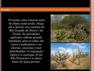 Sertão
O sertão, uma extensa área
de clima semi-arido, chega
até o litoral, nos estados do
Rio Grande do Norte e do
Ceará. As atividades
agrícolas sofrem grande
limitação, pois os solos são
rasos e pedregosos e as
chuvas, escassas e mal
distribuídas. A vegetação
típica é a caatinga. O rio
São Francisco é a única
fonte de água perene.
 