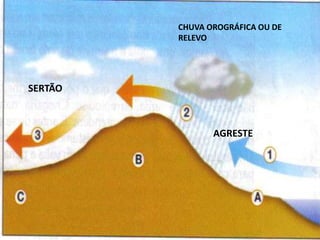 CHUVA OROGRÁFICA OU DE
         RELEVO




SERTÃO



                AGRESTE
 