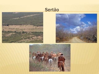 Sertão
 