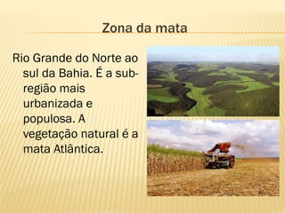 Zona da mata

Rio Grande do Norte ao
  sul da Bahia. É a sub-
  região mais
  urbanizada e
  populosa. A
  vegetação natural é a
  mata Atlântica.
 
