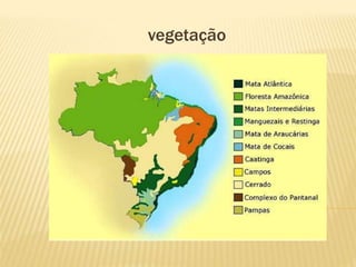 vegetação
 