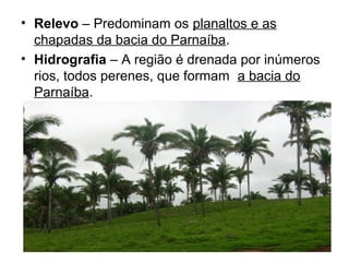 • Relevo – Predominam os planaltos e as
chapadas da bacia do Parnaíba.
• Hidrografia – A região é drenada por inúmeros
rios, todos perenes, que formam a bacia do
Parnaíba.

 