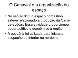 O Canavial e a organização do
espaço
• No século XVI, o espaço nordestino
esteve relacionado a produção da Canade-açúcar. Essa atividade proporcionou
poder político e econômico à região.
• A pecuária foi utilizada para iniciar a
ocupação do interior no nordeste.

 