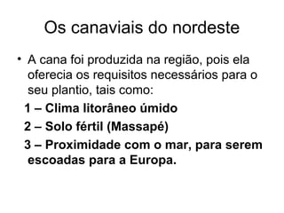 Os canaviais do nordeste
• A cana foi produzida na região, pois ela
oferecia os requisitos necessários para o
seu plantio, tais como:
1 – Clima litorâneo úmido
2 – Solo fértil (Massapé)
3 – Proximidade com o mar, para serem
escoadas para a Europa.

 