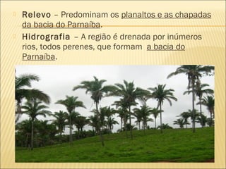  Relevo – Predominam os planaltos e as chapadas
da bacia do Parnaíba.
 Hidrografia – A região é drenada por inúmeros
rios, todos perenes, que formam a bacia do
Parnaíba.
 