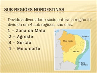  Devido a diversidade sócio natural a região foi
dividida em 4 sub-regiões, são elas:
1 – Zona da Mata
2 – Agreste
3 – Sertão
4 – Meio-norte
 