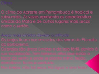 Clima
O clima do Agreste em Pernambuco é tropical e
subsumido. As vezes apresenta as característica
úmidas da Mata e de outros lugares mais secos
como o sertão.
Áreas mais úmidas devido a altitude
Os brejos ficam nas encostas das serras do Planalto
da Borborema.
Os brejos são áreas úmidas e de solo fértil, devido à
sua localização. Tem terrenos altos que estão a
favor do vento e onde se planta milho, feijão,
mandioca, frutas e verduras.
Nos brejos, não há seca. Há água o ano todo
 