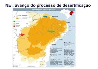 NE : avanço do processo de desertificação 
 