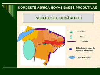 NORDESTE ABRIGA NOVAS BASES PRODUTIVAS  