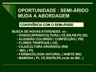 CONVIVÊNCIA COM O SEMI-ÁRIDO BUSCA DE NOVAS ATIVIDADES  ex :  OVINOCAPRINOCULTURA ( CE,RN,PB,PE,SE)  ALGODÃO COLORIDO / CONFECÇÃO ( PB) FLORES TROPICAIS ( CE) CAJUCULTURA ORGÂNICA (RN) MEL ( PI) FÁRMACOLOGIA NATURAL ( NORTE MG) MAMONA ( PI, CE,RN,PB,PE,norte de MG...) OPORTUNIDADE : SEMI-ÁRIDO MUDA A ABORDAGEM 
