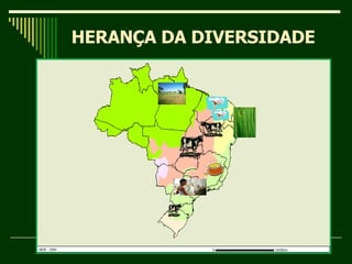 HERANÇA DA DIVERSIDADE 