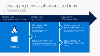 Developing new applications on Linux
Choose your path
Deploy your
application
Choose your
development environment
Upgrade to
SQL Server v.Next
Use simple backup and restore
from Windows to Linux
Go-live
Deploy today and easily
migrate to v.Next
Test your app today and go live close
to GA with the Early Adoption Program
OR
macOS
 