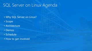 SQL Server on Linux Agenda
• Why SQL Server on Linux?
• Scope
• Architecture
• Demos
• Schedule
• How to get involved
 