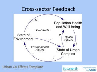 Cross-sector Feedback
24
Urban Co-Effects Template
 