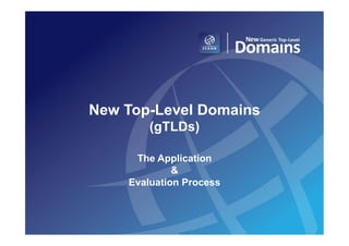 New Top-Level Domains
        (gTLDs)

     The Application
             &
    Evaluation Process
 