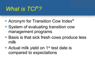 Transition Cow Index.pdf Optimizing Facilities for Transition Cow Success- Ken Nordlund | PPT