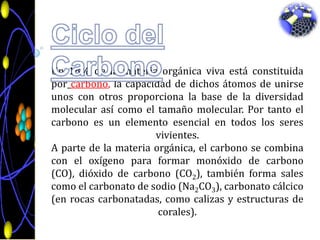 Ciclo del CarbonoUn 18% de la materia orgánica viva está constituida porcarbono, la capacidad de dichos átomos de unirse unos con otros proporciona la base de la diversidad molecular así como el tamaño molecular. Por tanto el carbono es un elemento esencial en todos los seres vivientes.A parte de la materia orgánica, el carbono se combina con el oxígeno para formar monóxido de carbono (CO), dióxido de carbono (CO2), también forma sales como el carbonato de sodio (Na2CO3), carbonato cálcico (en rocas carbonatadas, como calizas y estructuras de corales).